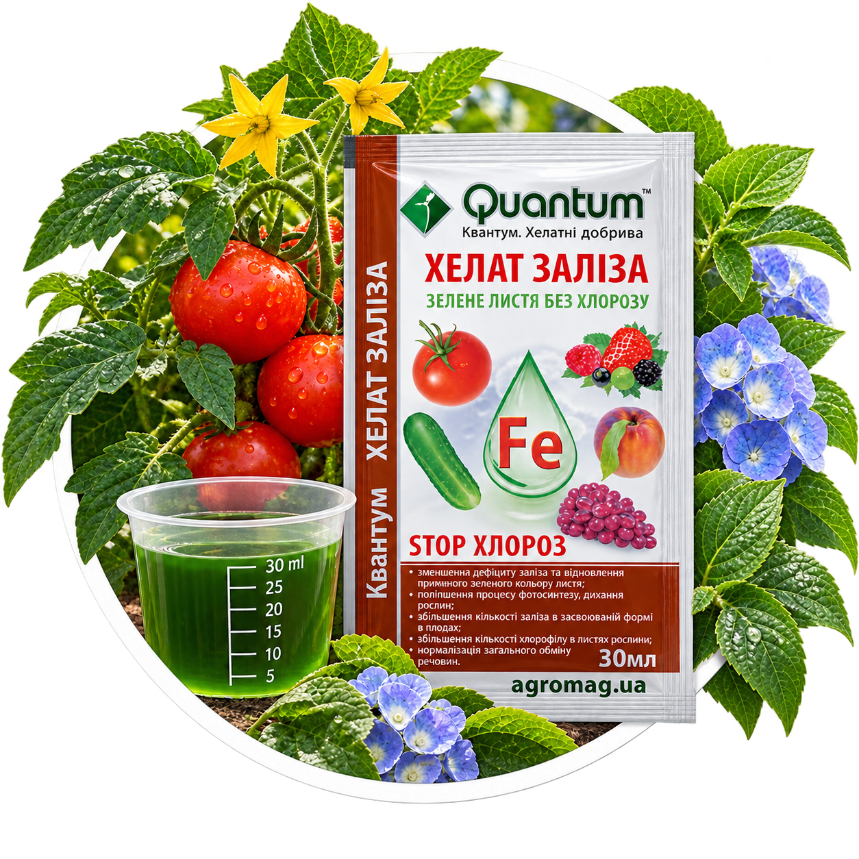 Хелат Железа